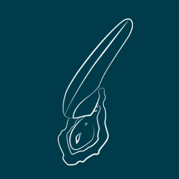 Position the stimulation head on your clit with light pressure. Make it comfortable with your body, and take the time to explore what feels good.